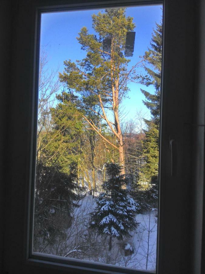 Kanada Inn U Klinovce Vejprty Dış mekan fotoğraf
